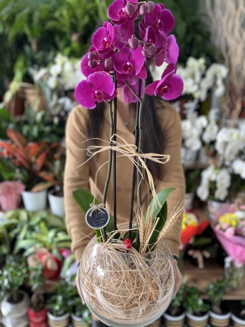 Tasarım Çift Dal Mor Orkide Çiçeği