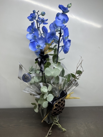Çift Dal Mavi Orkide Tasarımı