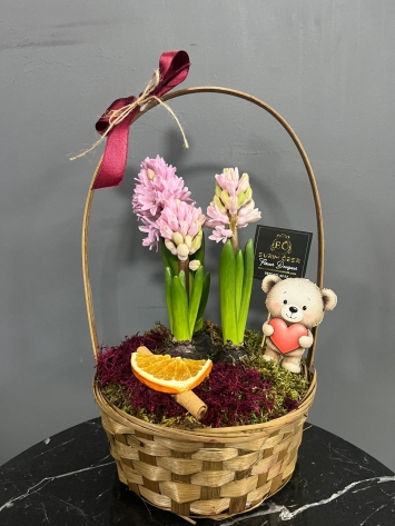 Sepette Kokulu Sümbül 