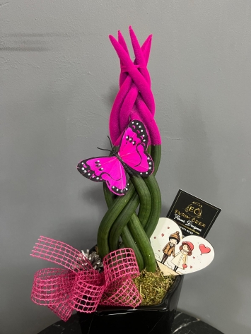 ITHAL SANSEVERIA TASARIM 