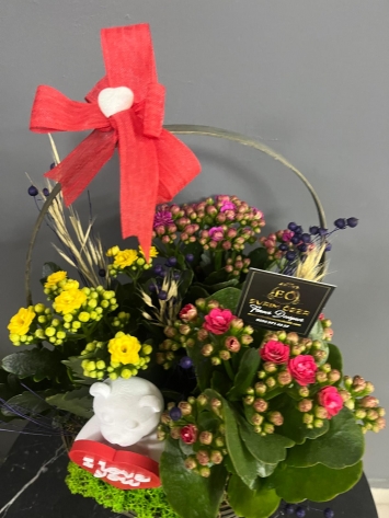 KALANCHONE SEPET TASARIM