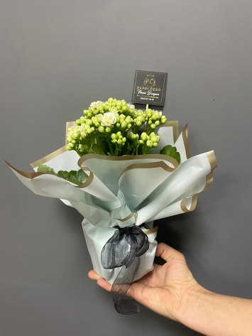 İTHAL KALANCHONE PAKET 