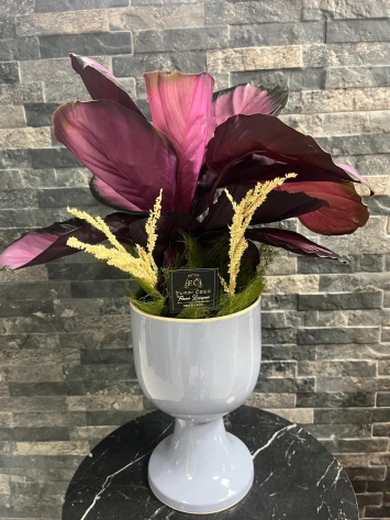 İTHAL PEMBE YAPRAK GALETYA