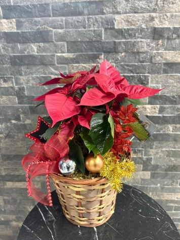 ATATÜRK ÇİÇEĞİ SAPETTE YILBAŞI KONSEPTLİ