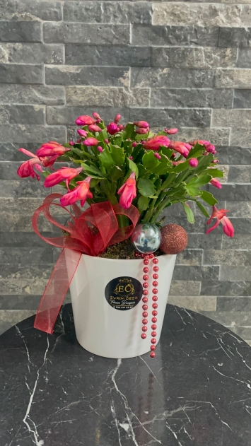 İTHAL YILBAŞI SAKSI ÇİÇEKLİ BÜYÜK  SERAMİKTE