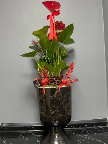 İTHAL JUMBO TASARIM ANTORYUM