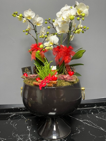 İTHAL MİDİ BOY ORKİDE VE SUCULENT TASARIM