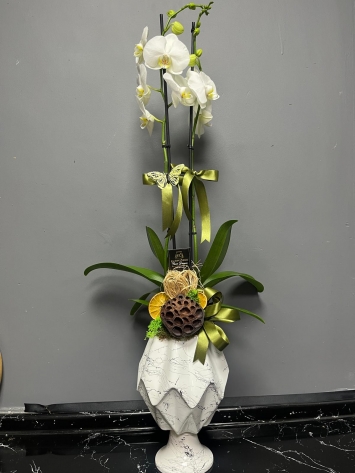 İTHAL TASARIM JUMBO ÇİFT DAL BEYAZ ORKIDE