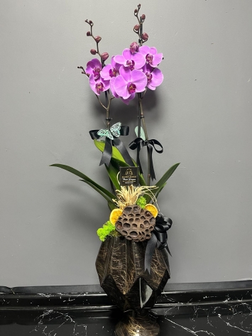 İTHAL JUMBO ÇİFT DAL TASARIM MOR ORKIDE