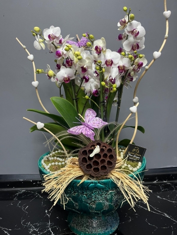 İTHAL VİP TASARIM MIDI ORKIDE