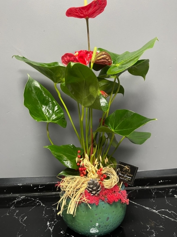 İTHAL TASARIM ANTORYUM