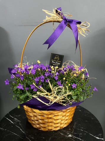 MAVİŞŞŞ SEPET TASARIM