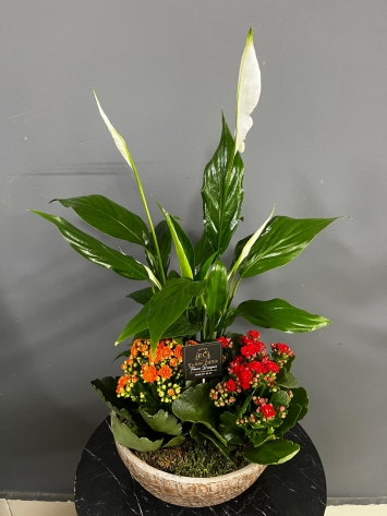 https://www.seferihisarcicekcilik.com/