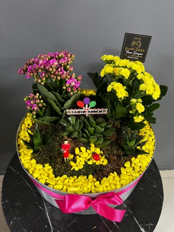 https://www.seferihisarcicekcilik.com/