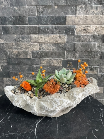 BETON SAKSIDA SUCCULENT TASARIM