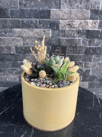 SERAMİKTE SUCCULENT TASARIM