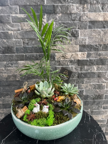 İTHAL SERAMİKTE TAVŞAN FİGÜRLÜ TASARIM SUCCULENT